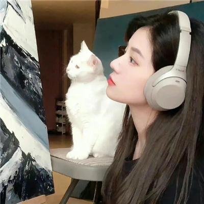 我本酷儿