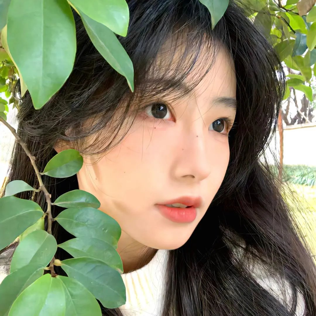 邻家诗话第四季
